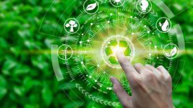 economía circular, caso de éxito, ESAN, Cencosud Perú, sustentabilidad, sostenibilidad, reciclaje, empaques ecoamigables, Cencosud Perú: caso de éxito en economía circular para supermercados