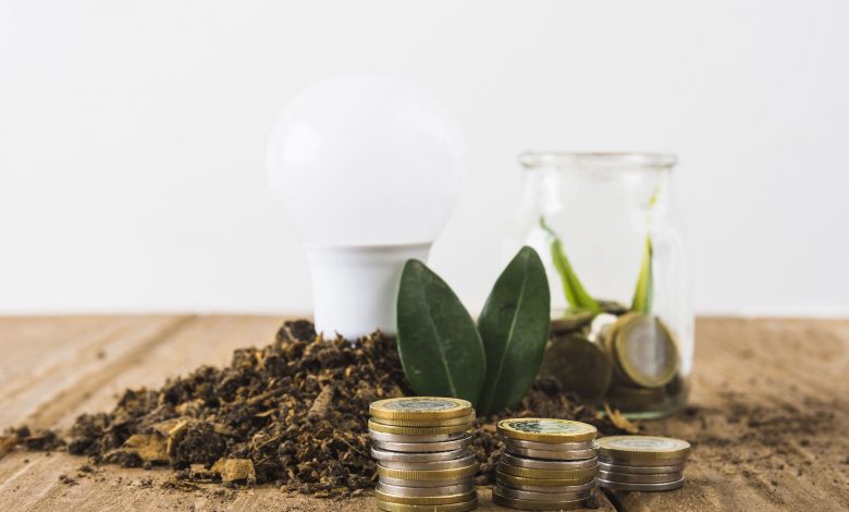 ¿Cómo hacer un negocio sostenible y rentable? 7 claves para lograrlo, negocio sostenible y rentable, sostenibilidad, sustentabilidad, Centrum PUCP, Giulliana Cateriano, OpenpayPerúy by BBVA, emprendimiento sostenible, estrategia de negocio sostenible, , sostenibilidad y rentabilidad