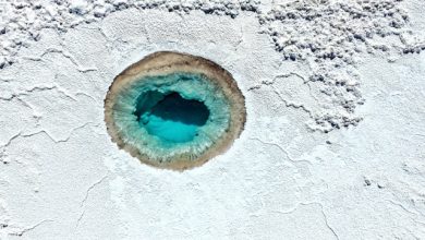 Bolivia, litio, minería, Uranium One Group, Luis Arce, Potosí, salar de Uyuni, MAS, economía, energía